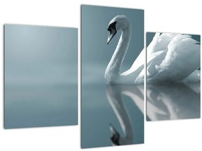 Tablou -Lebădă albă (90x60 cm)