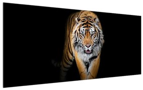 Tablou cu tigru (120x50 cm), în 40 de alte dimensiuni noi