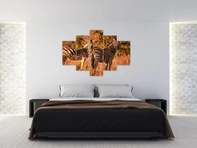 Tablou cu zebre (150x105 cm)