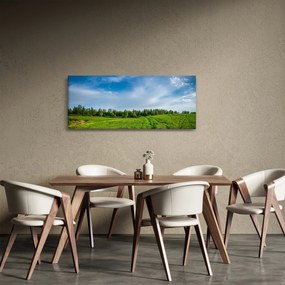 Tablou cu luncă (120x50 cm)