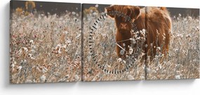 Tablou - Vacă scoțiană (cu ceas) (90x30 cm)
