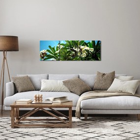 Tablou - Plumeria (cu ceas) (90x30 cm)