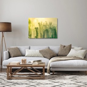 Tablou pe sticlă - Detaliu de primăvară natura cețoasă (70x50 cm)