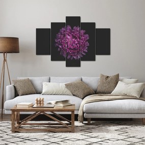 Tablou cu floare violetă (150x105 cm)