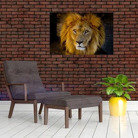 Tablou - Portret de leu (90x60 cm)