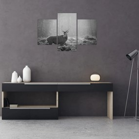 Tablou - Căprioare in pădure,alb-negru (90x60 cm)