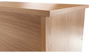 Zondo Pantofar (Dulap pentru pantofi) Fembi-03 (natural). 788871