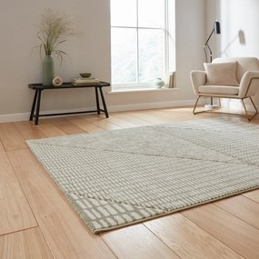 Covor verde deschis 160x230 cm Larsson – Catherine Lansfield