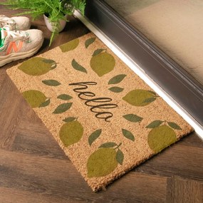 Covoraș de intrare din fibre de nucă de cocos 40x60 cm Hello Lemons – Artsy Doormats