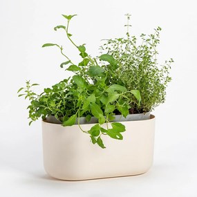 Jardinieră cu auto-irigare Plastia, bej,31 x 16 cm