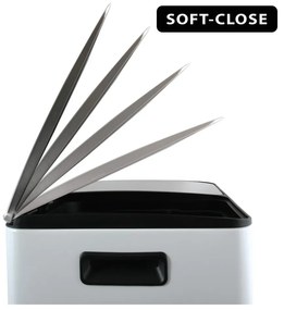 Coș de gunoi alb mat pentru reciclare/cu pedală 2x20 l din oțel Aliya – Spirella