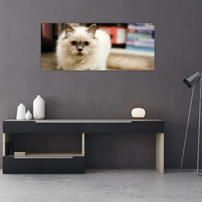 Tablou cu pisica albăr (120x50 cm), în 40 de alte dimensiuni noi