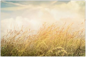 Tablou - Câmp toamna (90x60 cm)