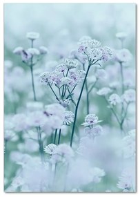 Tablou pe pe sticlă Astrantia