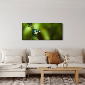 Tablou cu păun (120x50 cm)