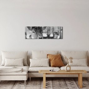 Tablou - Cerbi,alb-negru (cu ceas) (90x30 cm)