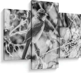 Tablou - Bluebird în timpul iernii (90x60 cm)