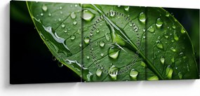 Tablou - Frunză după ploaie (cu ceas) (90x30 cm)
