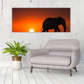 Tablou cu elefant în apus de soare (120x50 cm)