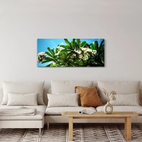 Tablou - Plumeria (120x50 cm)