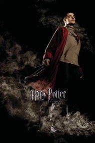 Poster de artă Harry Potter and the Goblet of Fire - Krum