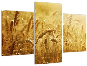 Tablou - Spice de cereale (90x60 cm)