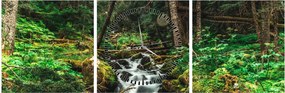 Tablou cu pârău în pădure (cu ceas) (90x30 cm)
