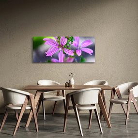 Tablou cu floarea detailat (120x50 cm)