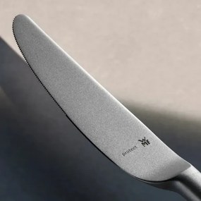 WMF - Set tacâmuri MERIT din oțel inoxidabil, 66 piese