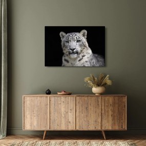 Tablou - Snow Leopard (90x60 cm)
