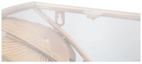 Noptieră aurie Amaz – Mauro Ferretti