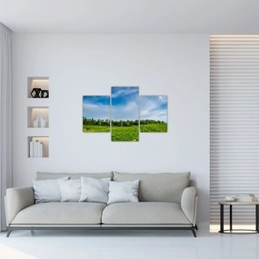 Tablou cu luncă (90x60 cm)