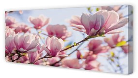 Tablouri canvas Magnolie