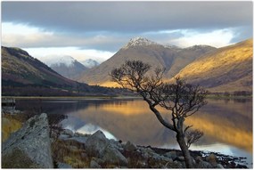 Tablou - Munții de lângă lac (90x60 cm)