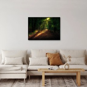 Tablou cu poteca prin pădure (70x50 cm)