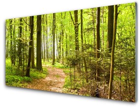 Tablouri acrilice Natural Pădurea Verde Maro