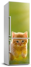 Autocolant frigider acasă Red Cat
