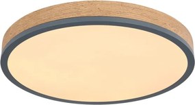 Globo 416080WD2R-CCT-LED Plafonieră DORO dimmabilă 24W/230V 3000-6500K diam. 45 cm