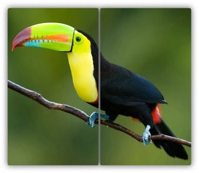 Tocator din sticla Toucan