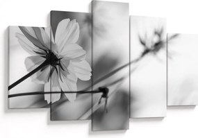 Tablou - Flori alb-negru (150x105 cm)