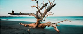 Tablou - Debarcare pe plaja (120x50 cm)