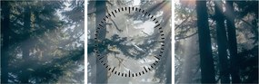 Tablou cu copaci și soarele translucind (cu ceas) (90x30 cm)