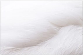 Tablou - Pană albă (90x60 cm)