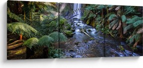 Tablou cu pădurea ploilor din Austalia (cu ceas) (90x30 cm)