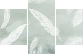Tablou - Pene albe (90x60 cm)