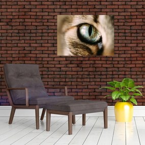 Tablou pe sticlă - Ochi de pisică (70x50 cm)