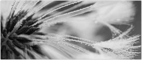 Tablou - Macro,alb-negru (120x50 cm)