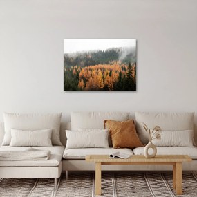 Tablou - Pădure toamna (70x50 cm)
