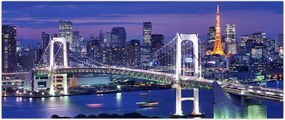 Tablou metropolei nocture (120x50 cm)