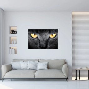 Tablou - Close up portret de o pisică (90x60 cm)